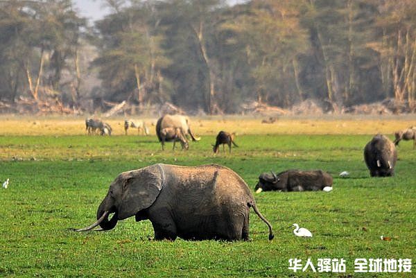 安博塞利国家公园 肯尼亚旅行 - 肯尼亚地接[肯尼亚地理文化]